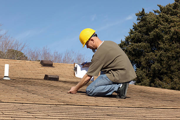 Best Roof Moss and Algae Removal  in Toulon, IL